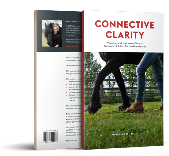 Connective Clarity - Wendy van den Bulck