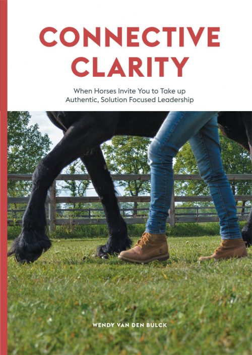 CONNECTIVE CLARITY